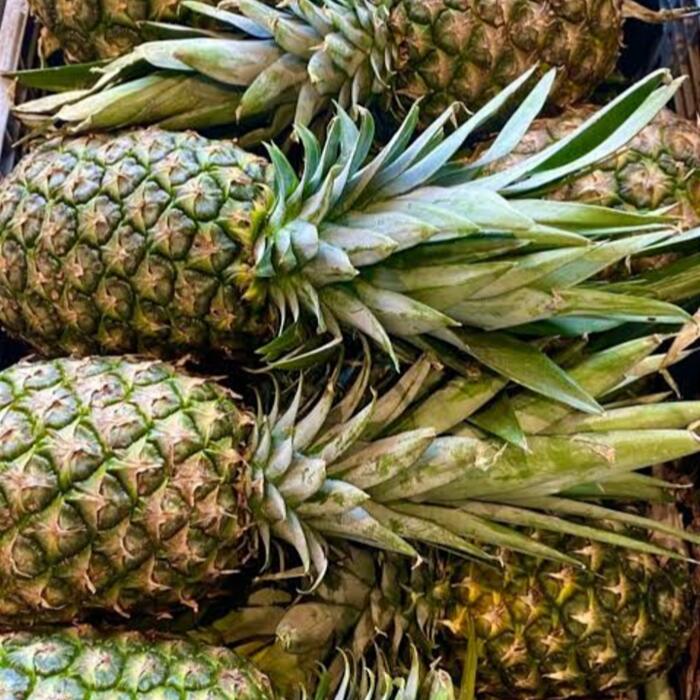 Pineapple Suckers